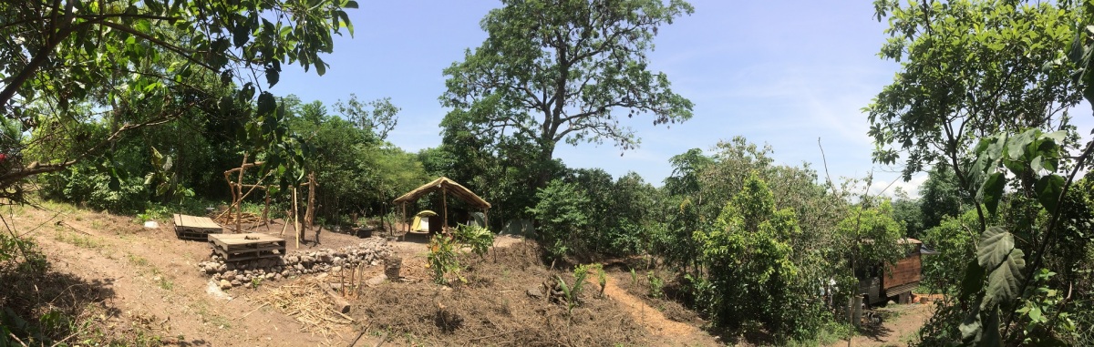 Permakultur in Togo